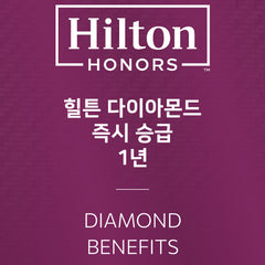 힐튼 다이아몬드 1년 즉시 승급
